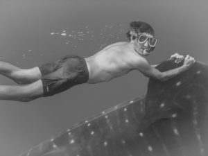 Gotzon shark hi res contrasted