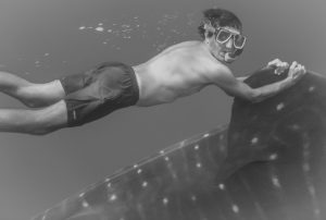 Gotzon shark hi res contrasted