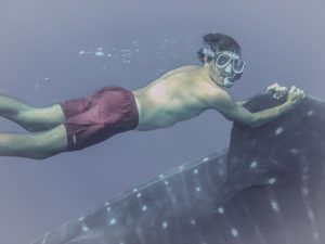 Gotzon shark hi res contrasted
