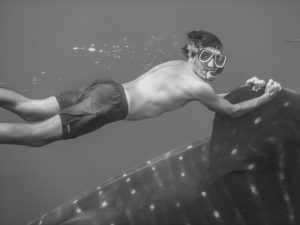 Gotzon shark hi res contrasted