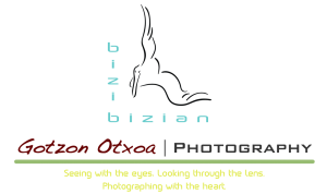 Logo Home Page with Name Colors