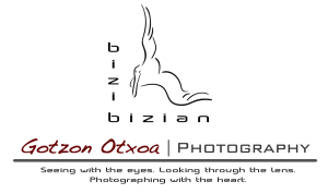 Logo Home Page with Name Gris