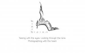 Logo bizibizian