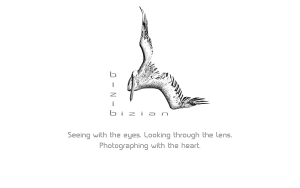 Web-Logo English Version