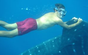 Whale shark Raider