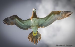 ~ Balance ~