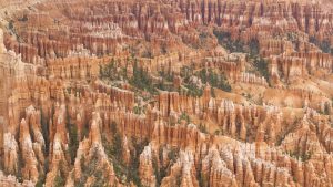 Bryce Canyon-106