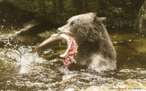 ~ Deadliest Catch ~