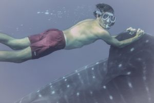 Gotzon shark hi res contrasted
