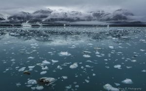 ~ Polar View ~