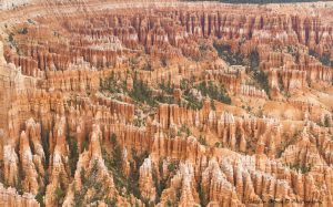 ~ The Teeth of the Earth ~