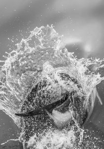 ~ Through the Water ~