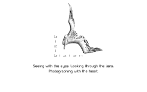 Web-Logo English Version copy