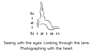 Logo Home Page Black