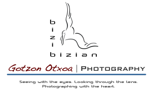 Logo Home Page with Name & Colors-1