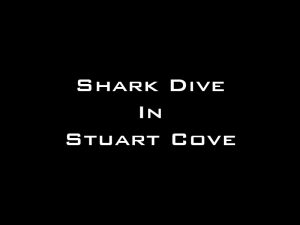 Videography Preview (Stuart Cove)