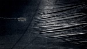 Background- Sail-1