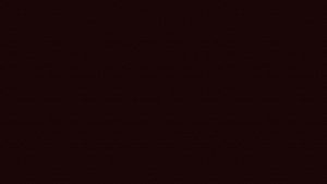 Background- Negro-Granate