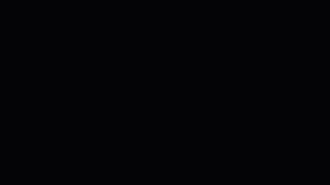 Background- Negro