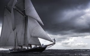 ~ Columbia ~ Serie 15