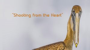Home Page Slider 1-6